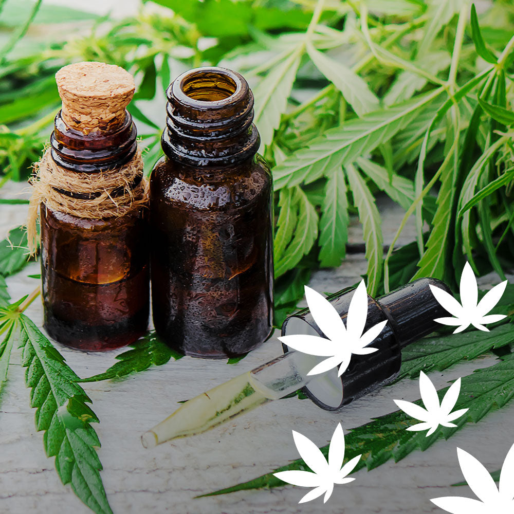 What is Cannabidiol / CBD ?