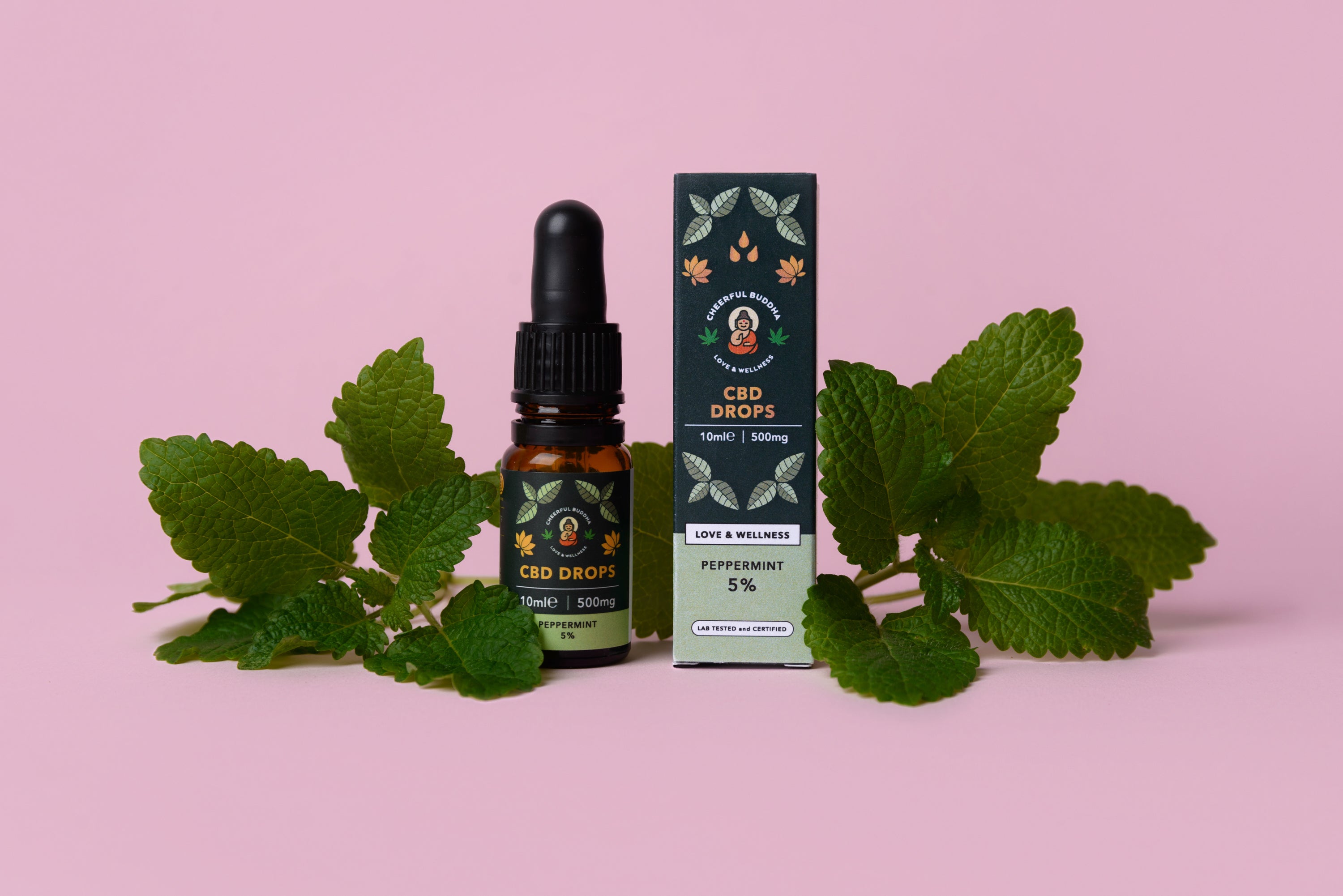 Your Guide to CBD Oil