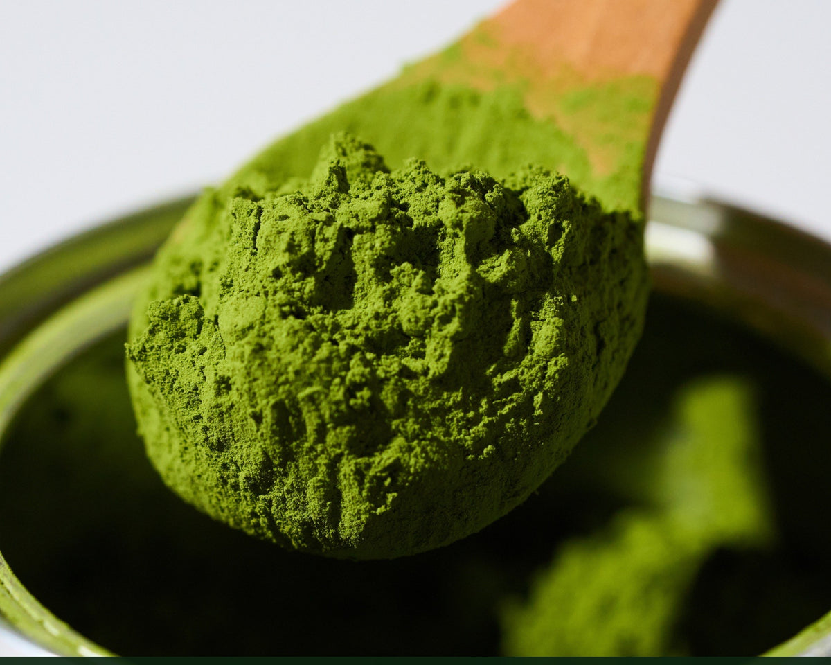 A spoon of vibrant green stone-ground matcha powder