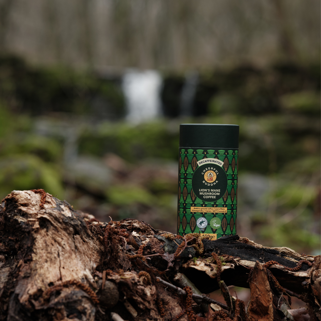 Lion's Mane Coffee Decaf tube on a mossy log by a woodland stream