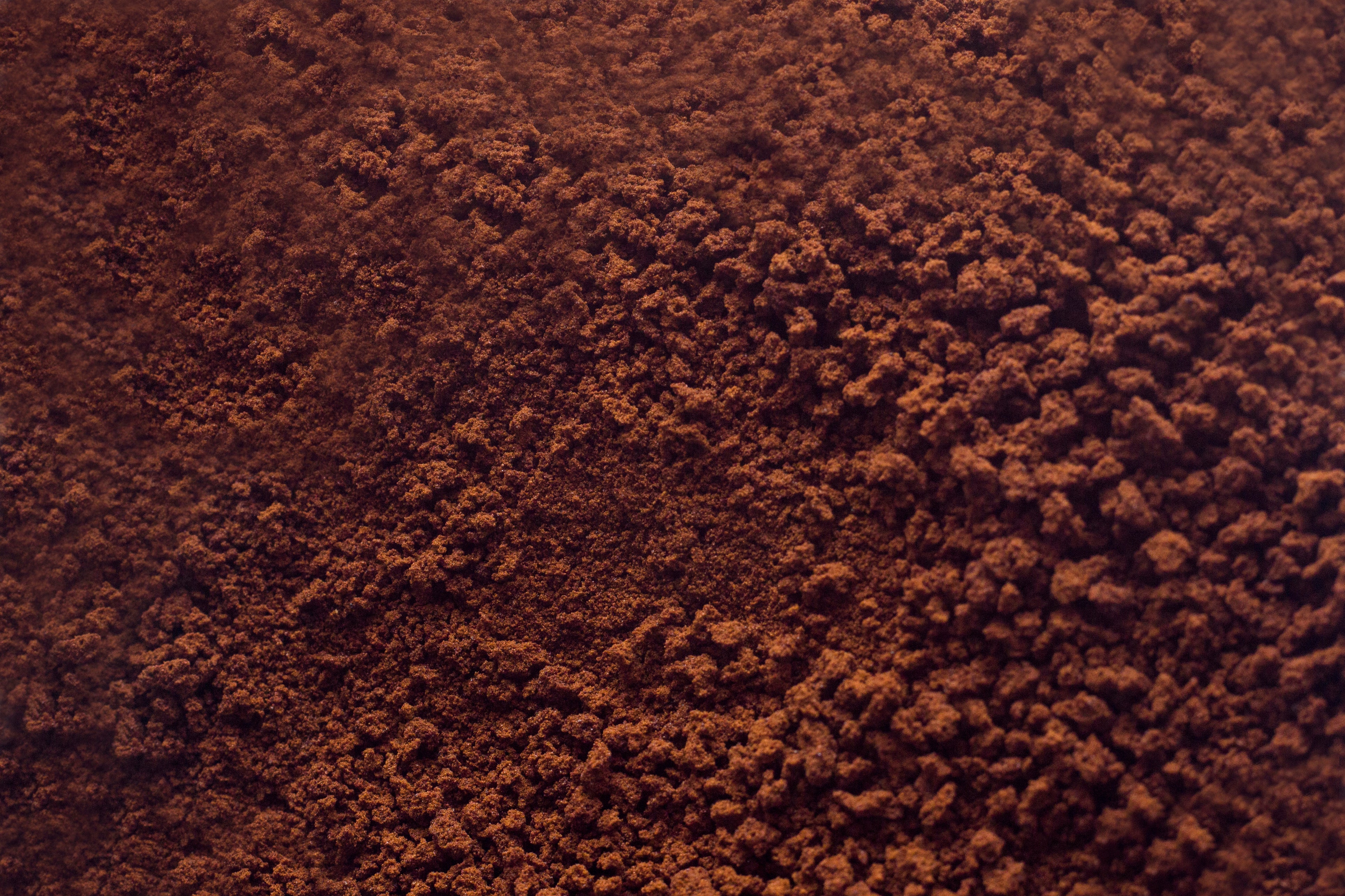 raw cacao powder 